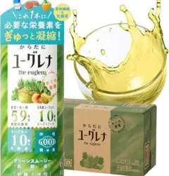 新品未開封 からだにユーグレナ グリーンスムージー 乳酸菌 15本 野菜ジュース