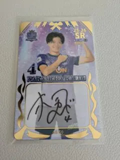 Item thumbnail for item 382856c6-7685-4b2c-b446-909b3a590ce9