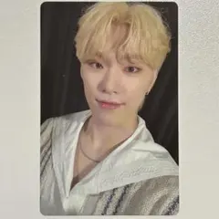 SEVENTEEN CARAT LAND 2023 ディノ トレカ