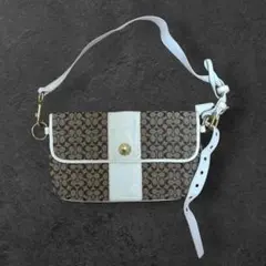 COACH コーチ シグネチャー タイガー ワンショルダーバッグ 希少モデル 
