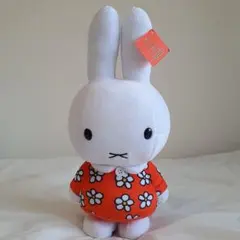 Item thumbnail for item 8741c0f9-9846-4e3e-8dfd-51ebc937ed6b