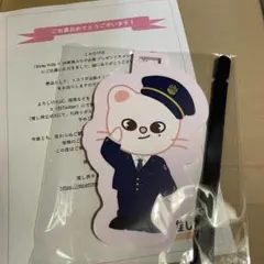 ダンボール発送】StrayKids SKZOO推し旅 Leebit リービット - メルカリ