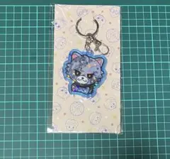 三代目 JSB3 登坂広臣 ØMI ルーヴ ラメキーホルダー