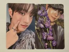 &TEAM EJ ウィジュ トレカ ソロジャケ ROAR ver. ユニバ