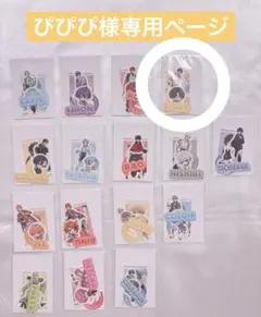 ぴぴぴ様専用ページです