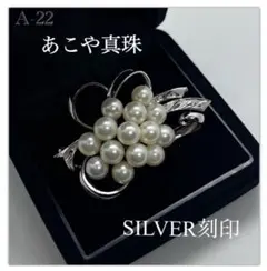 Item thumbnail for item 8570014a-d4d9-42e9-ba02-4d0e8e3696ae