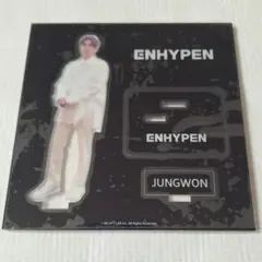 ENHYPEN JUNGWON アクリルスタンド エナプ ジョンウォン 儚い