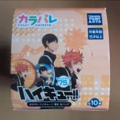 ハイキュー！！　カラパレ　登校缶バッジ　全10種　未開封