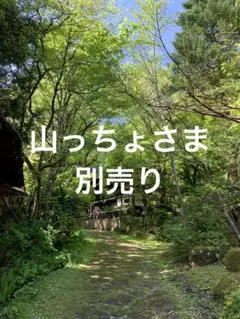 Item thumbnail for item d8df59f2-0177-4a44-91b3-826e61a0fa16