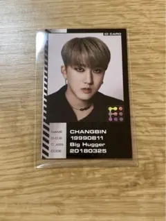 straykids スキズ  oddinary チャンビンIDトレカ