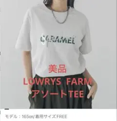 美品　LOWRYS FARM アソートTEE グレー