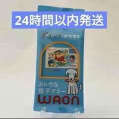 ⭐️最安値⭐️春日部限定 クレヨンしんちゃん WAONカード 匿名配送のサムネイル