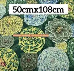 USAコットン ケイフファセット 花柄 生地 ⑭ 50cm グリーン