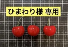 ひまわり様 専用ページ