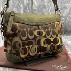 Y2K Coach Chelsea Optic Signature Hobo