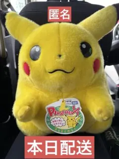新品　即日配送　ポケモン30周年記念おかえり!ピカチュウ1/1