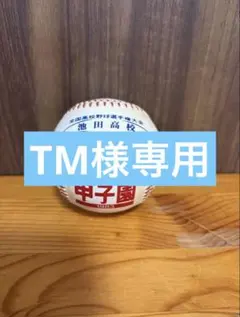 甲子園 第73回全国高等学校野球選手権大会記念ボール - メルカリ