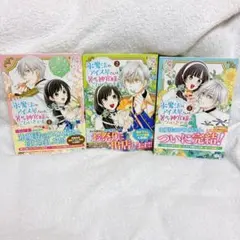 氷魔法のアイス屋さんは、暑がり神官様のご贔屓です。全巻セット