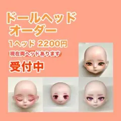 セリアドール オーダー用ページ 受付中 説明をよく読んでご依頼ください