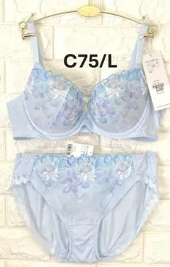 Item thumbnail for item 964236a4-9ce4-4936-9080-ef8db62a591f