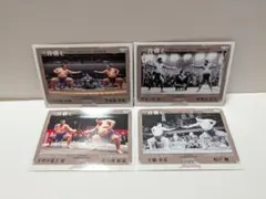 Item thumbnail for item b0e8b0cb-8edd-4963-9904-8c36f624fe2e