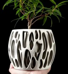 ひじき様 リクエスト 2点 まとめ商品