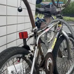 Redline BMX レッドライン skyway ホイール oldbmx Vintage Redline BMX Bike Found