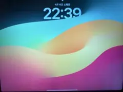 iPad Pro 12.9 第3世代 256GB