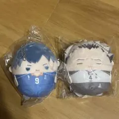 ハイキュー 木兎 影山 ぬいくじ D賞 くじメイト