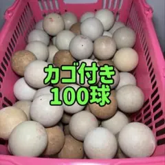 Item thumbnail for item d344a14a-df6b-42f0-95b8-b94060cb750a