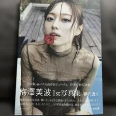 乃木坂46 梅澤美波 1st写真集 アザーカット 梅の近く - メルカリ