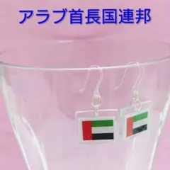世界の国旗ピアス　アラブ首長国連邦　透明樹脂フックピアス　大阪関西万博