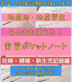 助産師 看護師 実習 国家試験対策 ポケットサイズ まとめノート　実習事前課題 助産師 助産学生 実習ポケットノート まとめノート 助産師国家試験