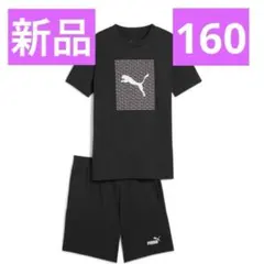 新品 PUMA プーマ 半袖 Tシャツ 半ズボン 上下 セット ブラック 160