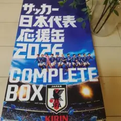 2011 コパアメリカ キリン サッカーキット 大型アイランド 未展示品