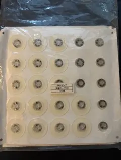 Item thumbnail for item 79f4c3b9-7c48-4a6a-b26d-fc7a9520c402