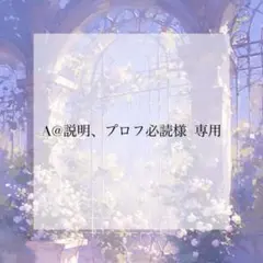 プレインシート 専用
