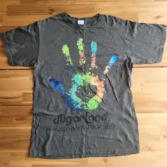 Sugarland IN YOUR HANDS TOUR 2012 Tシャツ