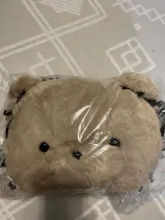 熊　くま　フェイスバック