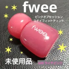 フィー　ピンクオブセッション　ステイフィットティント　ライチピンク　未使用品