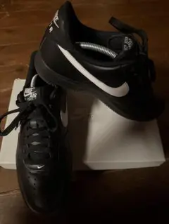 Item thumbnail for item 70a3afdc-4288-4319-ad25-1cebe4b17616