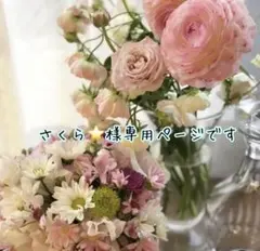 さくら⭐️様専用ページです♡