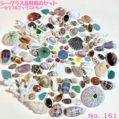 シーグラス＆貝殻のセット　No.161