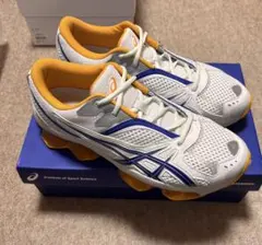 ASICS × Kiko Kostadinov ZIENTZIA 27cmのサムネイル