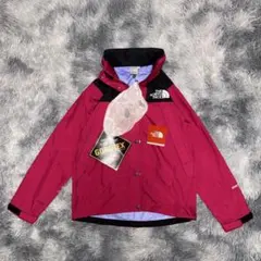 新品タグ付 ノースフェイス GORE-TEX マウンテンパーカー