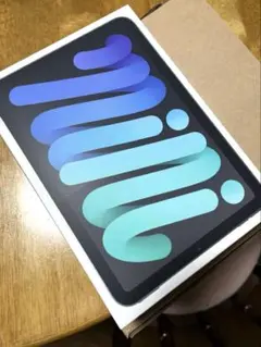 iPad mini (A17 Pro) 128GB Wi-Fi スペースグレイ