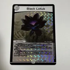 ブラックロータス