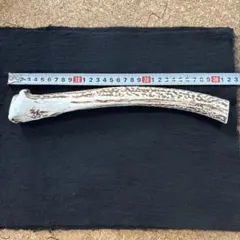 大型犬用超ロング、生角使用‼️蝦夷鹿の角ドッグガム根元一本物、ワンチャンガリガリのサムネイル