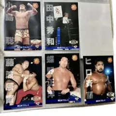 ９６年プロレスカード５枚セット