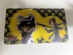 六道骸＆フラン 【原作画】　家庭教師ヒットマンREBORN! 3Dシート